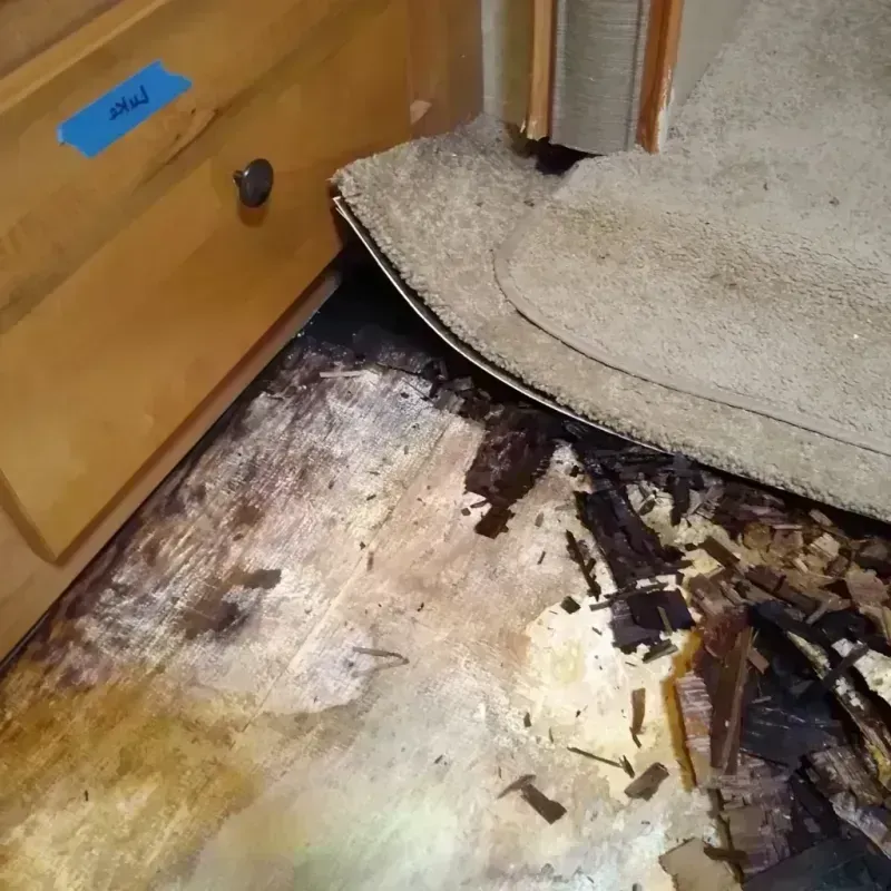 Best Wood Floor Water Damage Service in Twin Lakes, CO